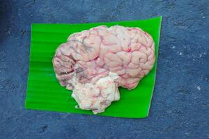 Brain cow is on a green leaf. The Brain cow is cut in half and has a red and white color photo
