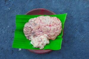 Brain cow is on a green leaf. The Brain cow is cut in half and has a red and white color photo