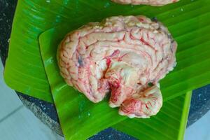 Brain cow is on a green leaf. The Brain cow is cut in half and has a red and white color photo