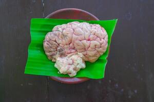 Brain cow is on a green leaf. The Brain cow is cut in half and has a red and white color photo