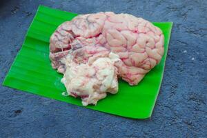Brain cow is on a green leaf. The Brain cow is cut in half and has a red and white color photo