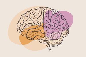 One line art of Human brain drawing Abstract minimal continuous line wall decor vector