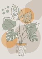 One line art of indoor plant drawing Abstract minimal continuous line wall decor vector