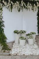 A white wall with a white curtain and a white archway photo