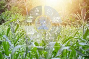 Ideas for using AI systems in conjunction with agriculture to increase productivity photo