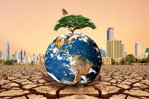 Earth with Tree on Top in Dry Cracked Land with Modern City Skyline in Background photo