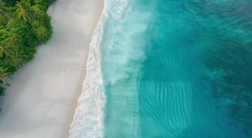 Aerial View of White Sand Beach and Turquoise Water photo