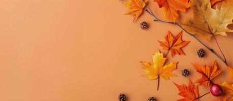 Autumn Leaves on Peach Background photo