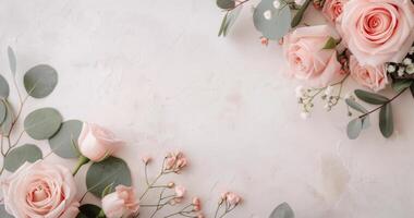 Pink Roses and Eucalyptus on White Background photo