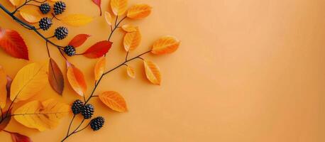Autumn Leaves on Peach Background photo