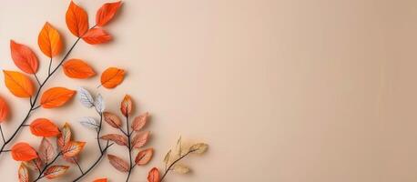 Autumn Leaves on Peach Background photo