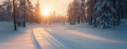 Snowy Forest Cross-Country Ski Trail At Sunset photo