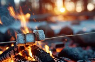 Marshmallows Roasting Over A Campfire photo