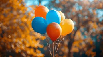 Colorful Balloons in a Park photo