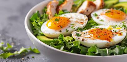 Avocado, Egg, and Chicken Salad photo