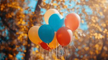 Colorful Balloons in a Park photo