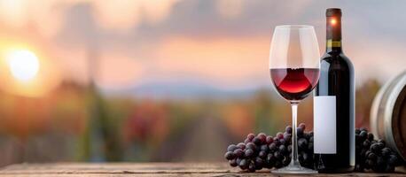 Wine and Grapes at Sunset photo