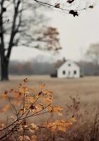 Autumn Leaves and a Distant House photo