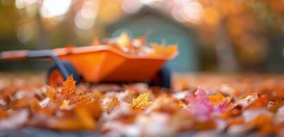 Autumn Leaves and Wheelbarrow photo