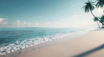 Palm Tree Beach at Sunset photo