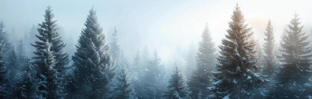 Frosty Forest Landscape at Dawn photo