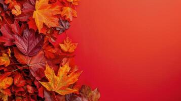 Fall Fruits and Leaves on Red Background photo
