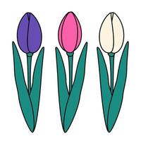 Abstract blossom tulip flowers in trendy bright shades. Design elements for greetings. Set of 3. Isolate. EPS. for cards, posters, banner, brochures, pointer, price tag, label, promo or web vector