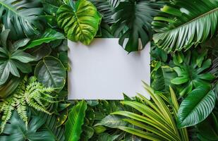 White Paper Surrounded by Lush Tropical Foliage in a Flat Lay Composition photo
