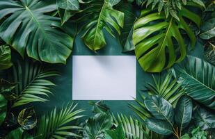 White Paper Surrounded by Lush Tropical Foliage in a Flat Lay Composition photo