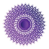 Elegant mandala background vector