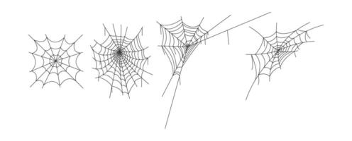 spider web drawing outline collection vector
