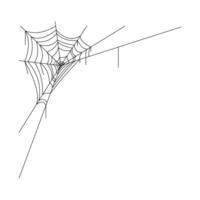 spider web drawing corner left vector