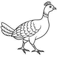 Capercaillie bird walks icon vector