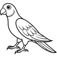 Carolina Parakeet bird walks icon vector