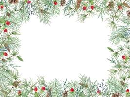 Evergreen branches with cones, red berries and herbs. Fir, pine, spikelet and St Johns wort berry. Christmas horizontal frame with empty space for text. Watercolor illustration for holiday design vector