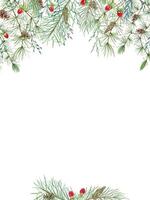Pine cones, red berries, herbs and evergreen branches. Fir, Larch, spikelet and hypericum berry. Christmas vertical frame with empty space for text. Watercolor illustration. For Xmas greeting card vector