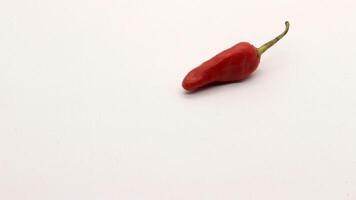 Chili on a white background photo