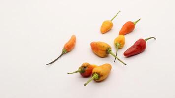 Chili on a white background photo