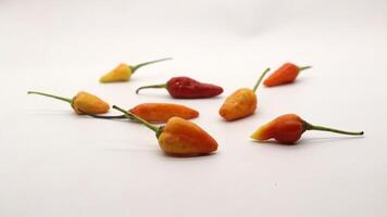 Chili on a white background photo