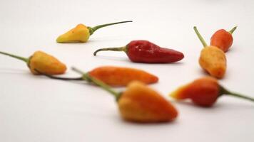 Chili on a white background photo