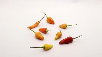 Chili on a white background photo