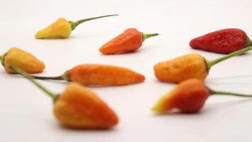 Chili on a white background photo