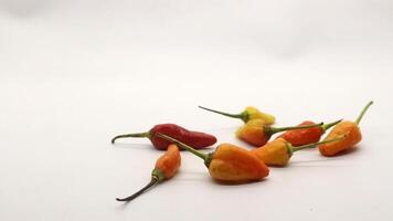 Chili on a white background photo
