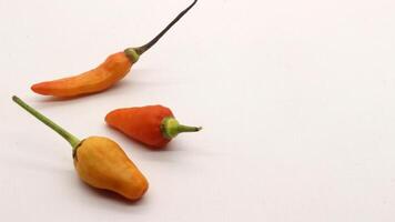 Chili on a white background photo
