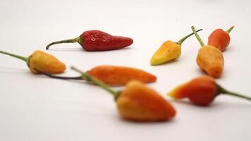 Chili on a white background photo