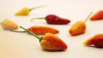 Chili on a white background photo