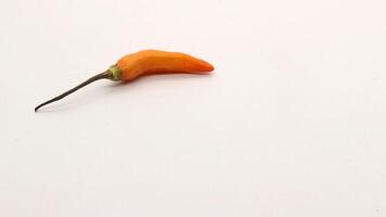Chili on a white background photo