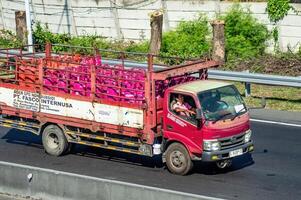 a Hino truck that transports and delivers bright gas or pink LPG on toll roads, Indonesia, 16 July 2024. photo