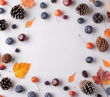 Autumnal Fruit and Pinecone Border photo