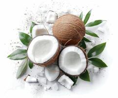 Coconut Fruit on Palm Leaf photo